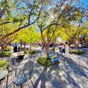 Aspen gay travel