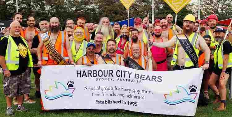 Sydney bear week