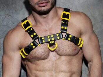 gay men's harness